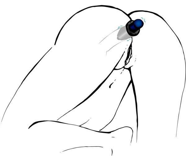 PLUG ANAL EM SILICONE LUST TUNNEL 4 PLUG ANAL EM SILICONE LUST TUNNEL