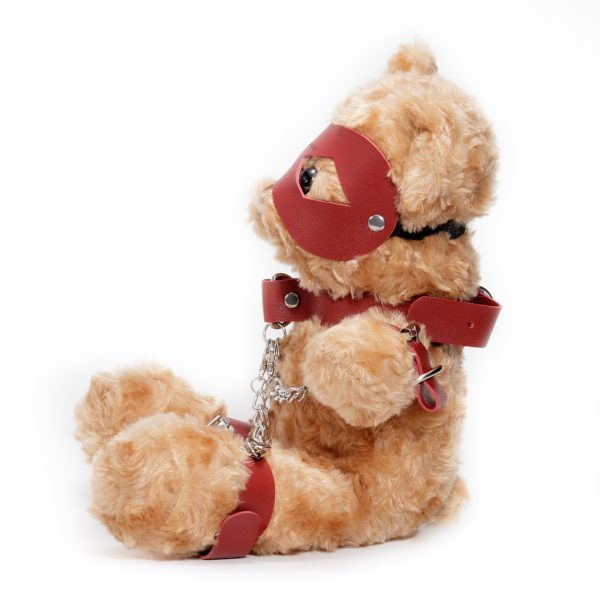 URSINHO DE PELUCHE BDSM CRUSHITO