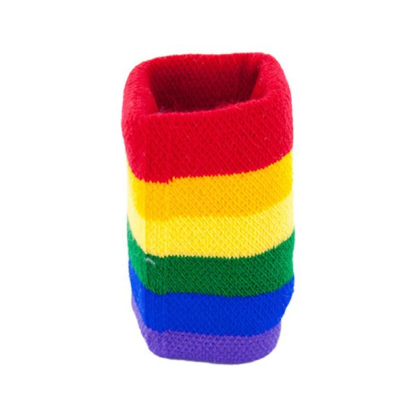 BANDEIRA LGBT