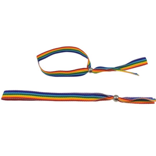 BANDEIRA LGBT