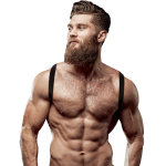 ARNÊS MASCULINO