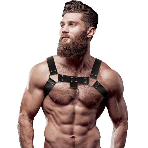 ARNÊS MASCULINO