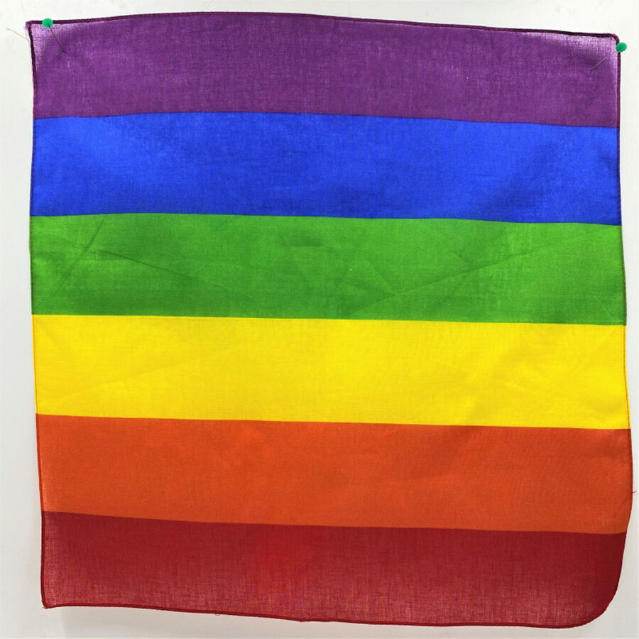 BANDEIRA LGBT
