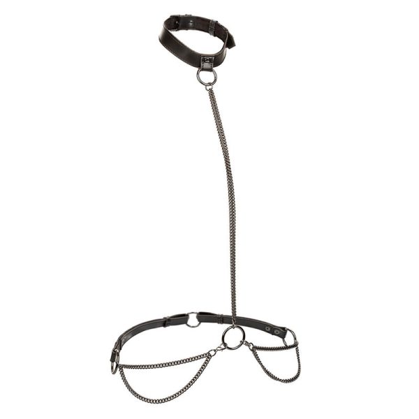 ARNÊS HALTER EUPHORIA (COLEIRA E TRELA) | TAMANHO PADRÃO