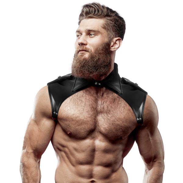 ARNÊS MASCULINO