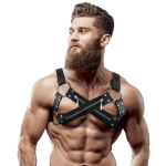 ARNÊS MASCULINO