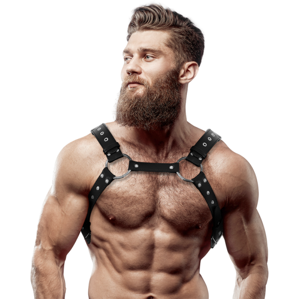 ARNÊS MASCULINO