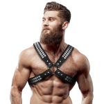 ARNÊS MASCULINO