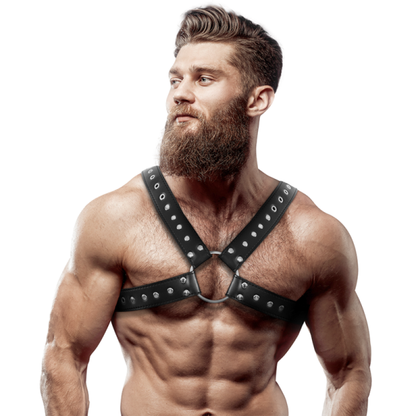 ARNÊS MASCULINO