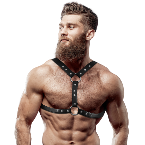 ARNÊS MASCULINO