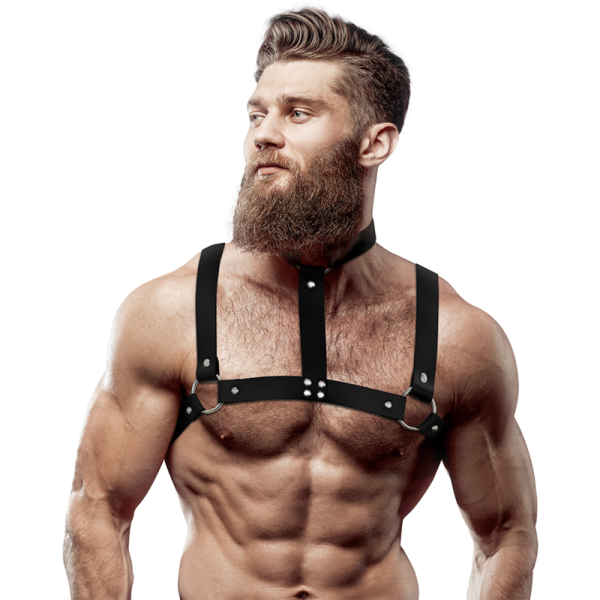 ARNÊS MASCULINO