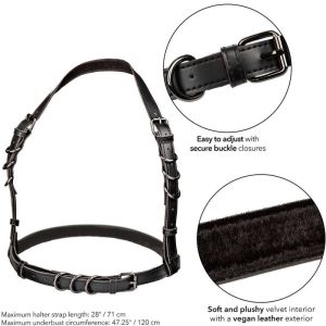 ARNÊS EUPHORIA HALTER (PRETO) | TAMANHO GRANDE - Image 5