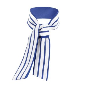 FANTASIA DE HOSPEDEIRA S-LINE (AZUL/BRANCO) - Image 4